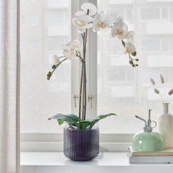 گلدان گیاه ایکیا مدل IKEA GRADVIS