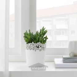 گلدان گیاه ایکیا مدل IKEA SAMVERKA