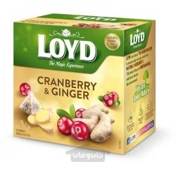 چای ذغال اخته و زنجبیل لوید 40 گرم Loyd