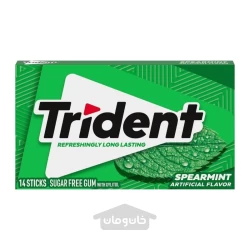 آدامس تریدنت بدون شکر با طعم نعنا 14 عدد Trident