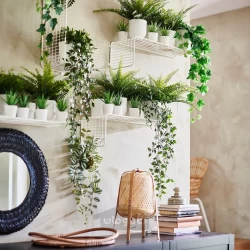 گیاه مصنوعی با گلدان برای فضای داخلی و خارجی ساکولنت 6 سانتی متری ایکیا مدل IKEA FEJKA