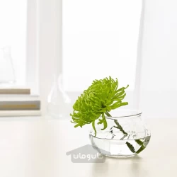 گلدان شیشه شفاف 8 سانتی متر ایکیا مدل IKEA VILJESTARK
