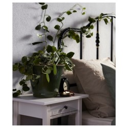 گلدان گیاه ایکیا مدل IKEA KAMOMILL