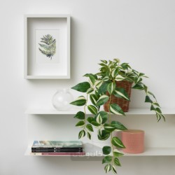گیاه گلدانی مصنوعی ایکیا مدل IKEA FEJKA