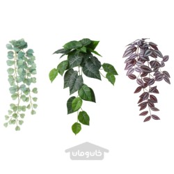 گیاه مصنوعی با نگهدارنده دیواری ایکیا مدل IKEA FEJKA رنگ در / بیرون / سبز / یاسی
