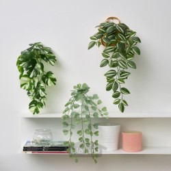 گیاه مصنوعی با نگهدارنده دیواری ایکیا مدل IKEA FEJKA رنگ داخل/خارج/سبز