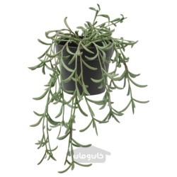گیاه گلدانی مصنوعی ایکیا مدل IKEA FEJKA